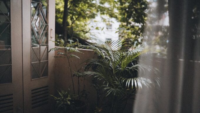 How to Transform Your Balcony into a Green Oasis