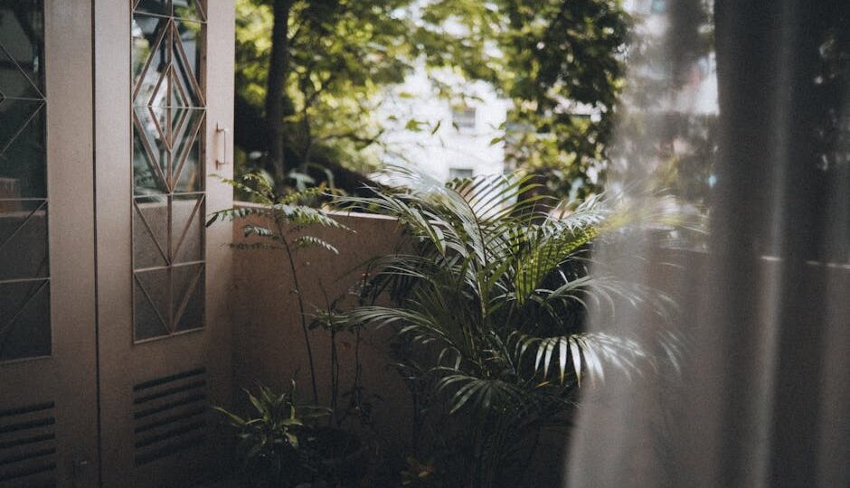 How to Transform Your Balcony into a Green Oasis