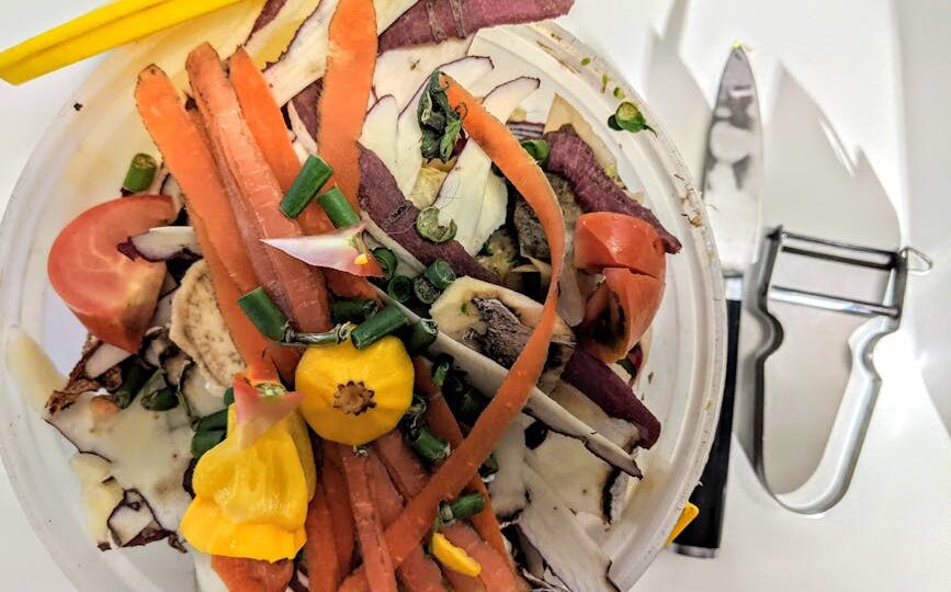 Why 2026 is the Year to Start Composting at Home