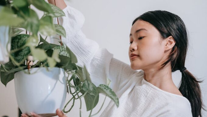 8 Ways to Incorporate Nature into Your Home Decor