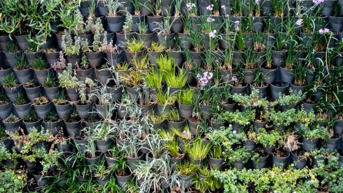 Growing Your Own Vertical Herb Garden: A 2026 Guide to Fresh Flavors at Home