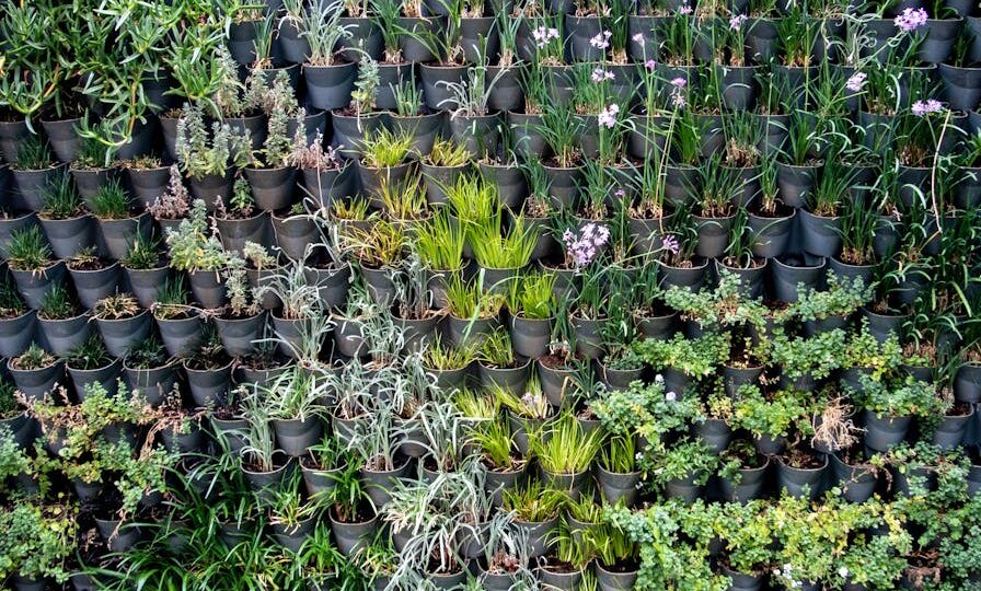 Growing Your Own Vertical Herb Garden: A 2026 Guide to Fresh Flavors at Home