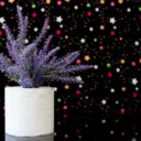 Crafting an Enchanted Nightscape: DIY Starry Ceiling Projects for 2026