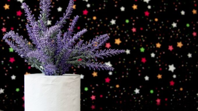Crafting an Enchanted Nightscape: DIY Starry Ceiling Projects for 2026