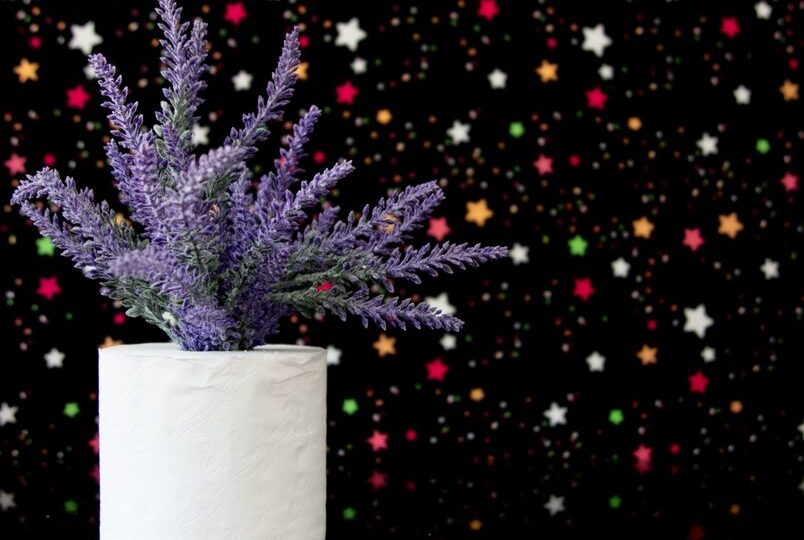 Crafting an Enchanted Nightscape: DIY Starry Ceiling Projects for 2026