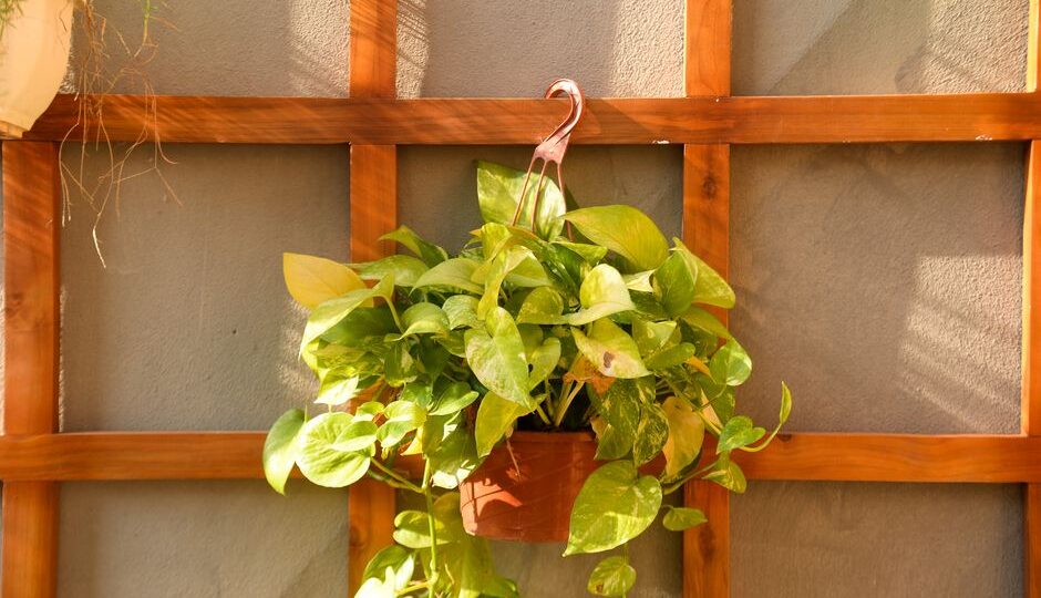 Crafting Urban Jungle Vibes: DIY Vertical Gardens for Your Home in 2026